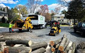 Lawn Grading and Leveling in Hermantown, MN